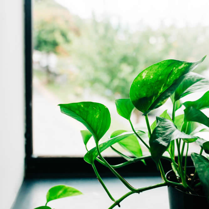 Room For Pyscotherapy For Hire Cardiff